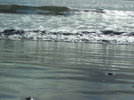 080927e_katase006.jpg