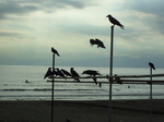 080927e_katase009.jpg