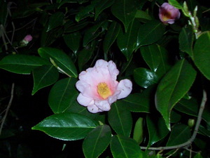 090123_002.jpg