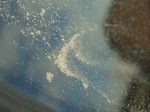 090202_002.jpg