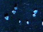 090202_004.jpg