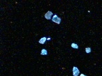 090202_005.jpg