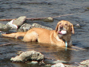 090411_love_003.jpg