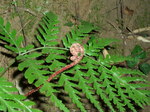090412_shida_001.jpg