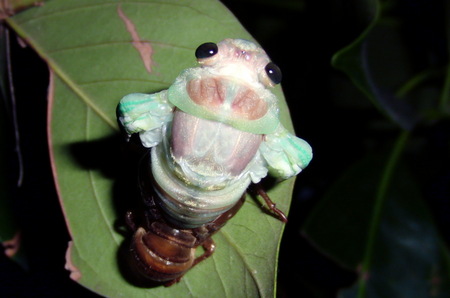 2012.08.31_semi_uka_001.jpg