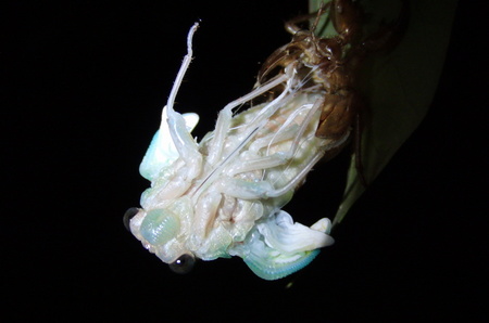 2012.08.31_semi_uka_003.jpg